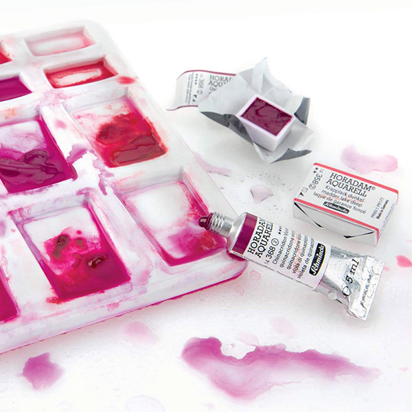 등록된 이미지가 없습니다.