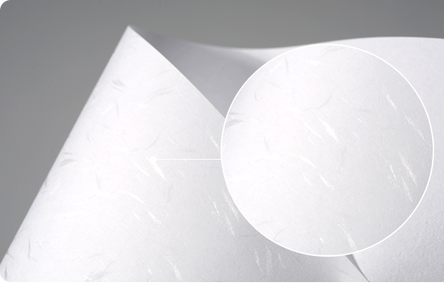 등록된 이미지가 없습니다.