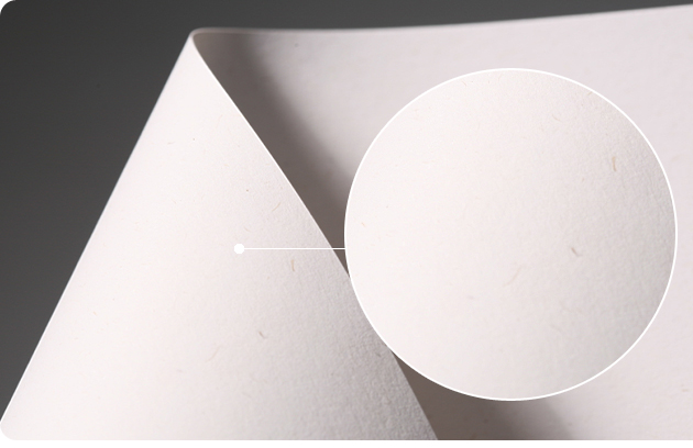 등록된 이미지가 없습니다.