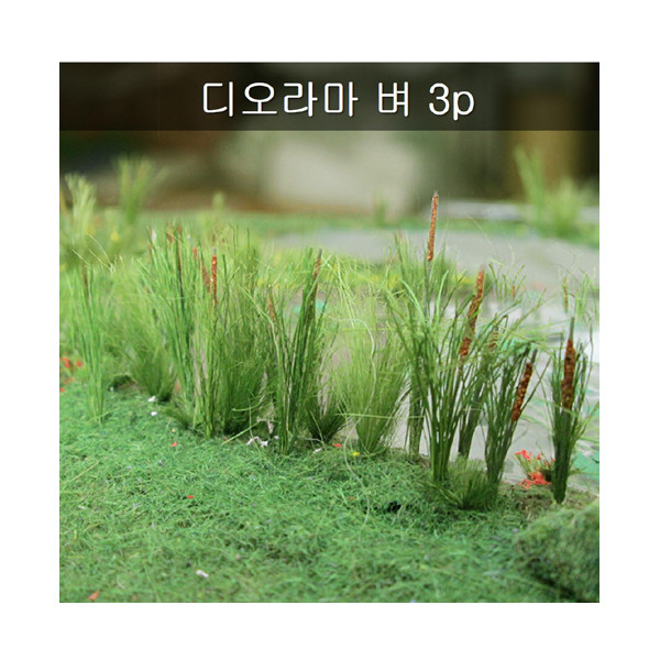 등록된 이미지가 없습니다.
