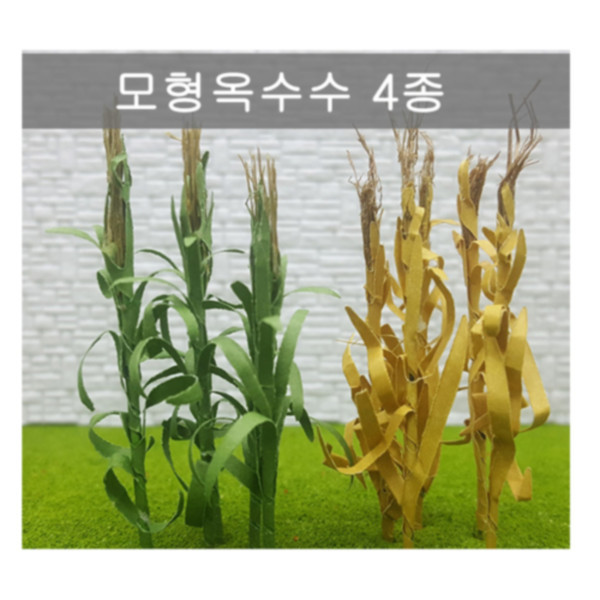 등록된 이미지가 없습니다.