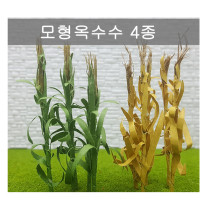 등록된 이미지가 없습니다.