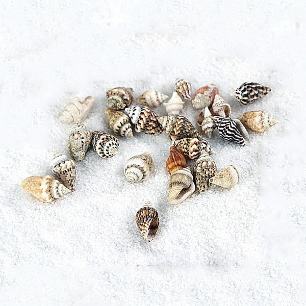 등록된 이미지가 없습니다.