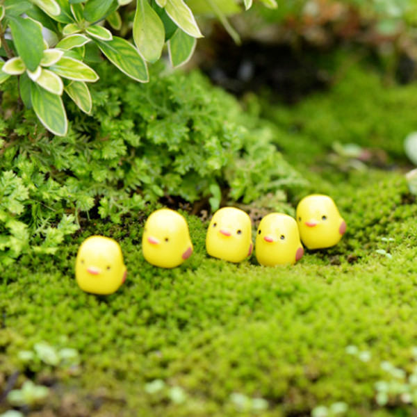 등록된 이미지가 없습니다.