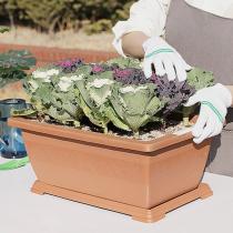 등록된 이미지가 없습니다.