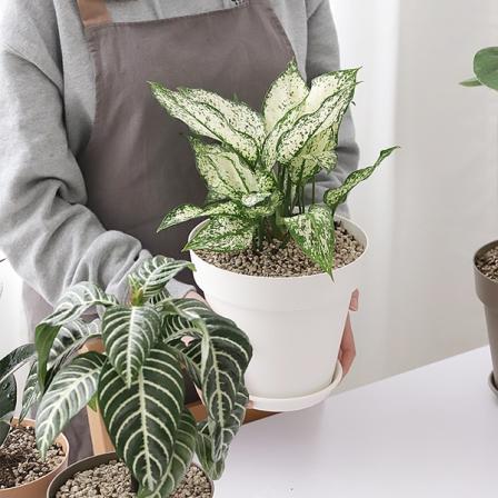 등록된 이미지가 없습니다.