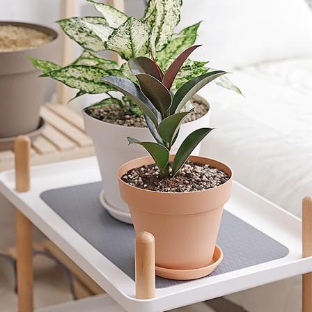 등록된 이미지가 없습니다.