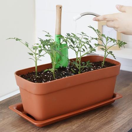 등록된 이미지가 없습니다.