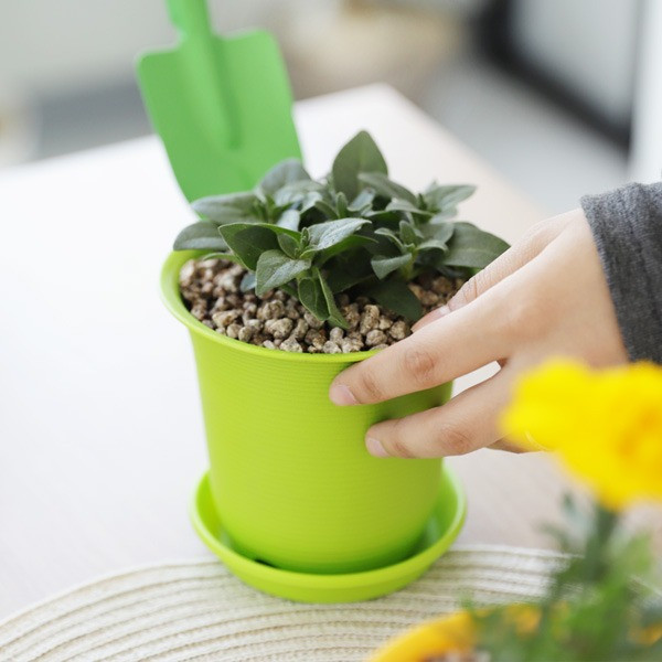 등록된 이미지가 없습니다.