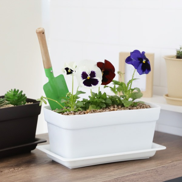 등록된 이미지가 없습니다.