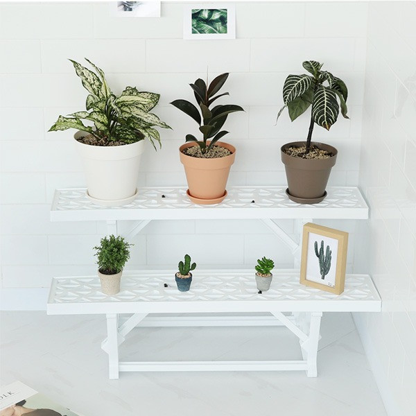 등록된 이미지가 없습니다.