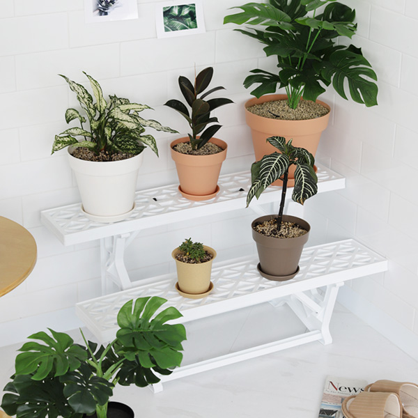 등록된 이미지가 없습니다.