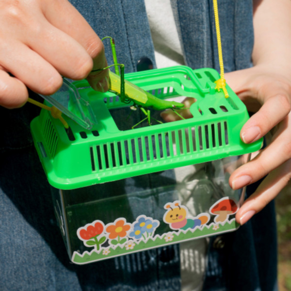 등록된 이미지가 없습니다.