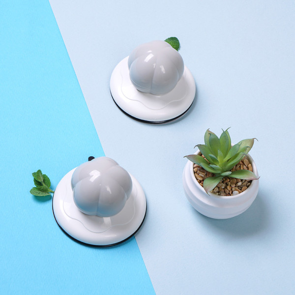 등록된 이미지가 없습니다.