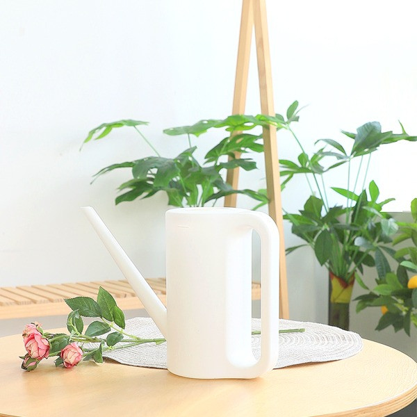 등록된 이미지가 없습니다.