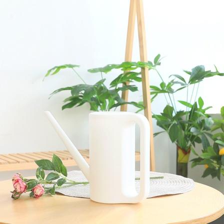 등록된 이미지가 없습니다.