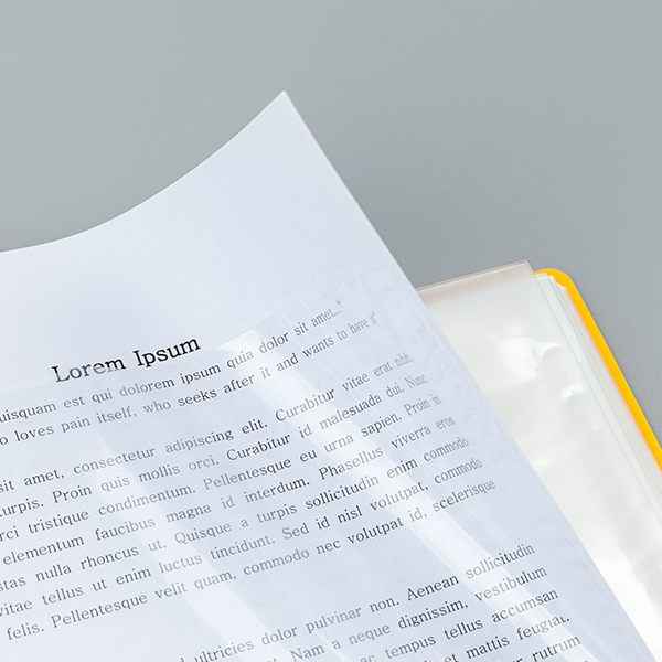 등록된 이미지가 없습니다.