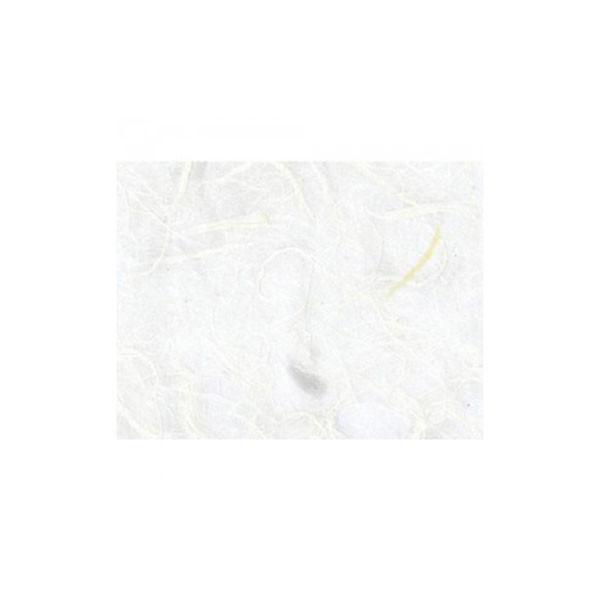 등록된 이미지가 없습니다.