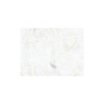 등록된 이미지가 없습니다.