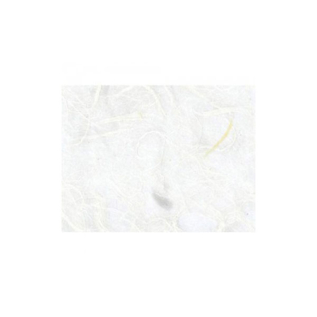 등록된 이미지가 없습니다.