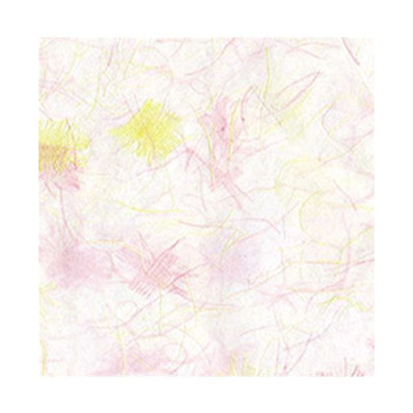 등록된 이미지가 없습니다.