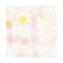 등록된 이미지가 없습니다.