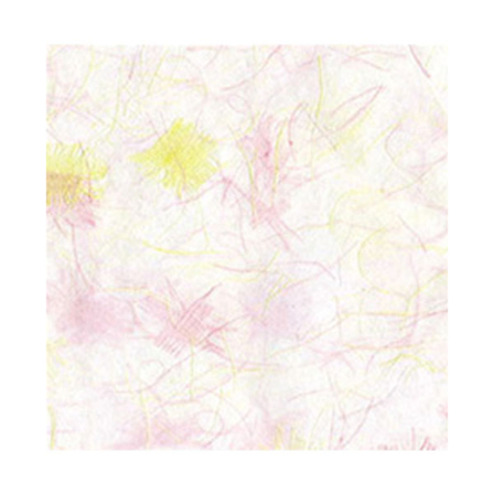 등록된 이미지가 없습니다.