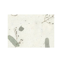 등록된 이미지가 없습니다.