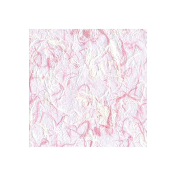 등록된 이미지가 없습니다.