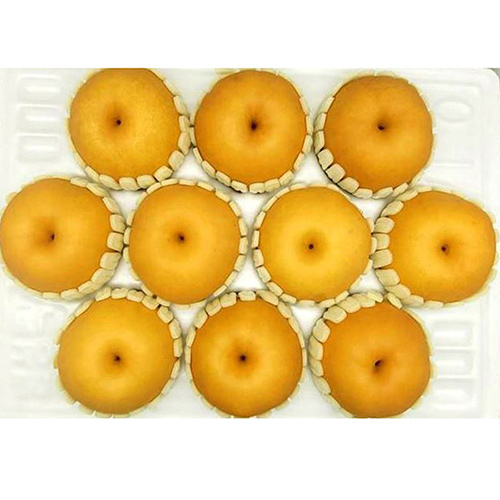 등록된 이미지가 없습니다.