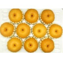 등록된 이미지가 없습니다.