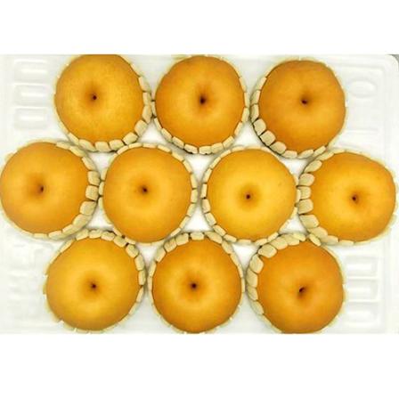 등록된 이미지가 없습니다.