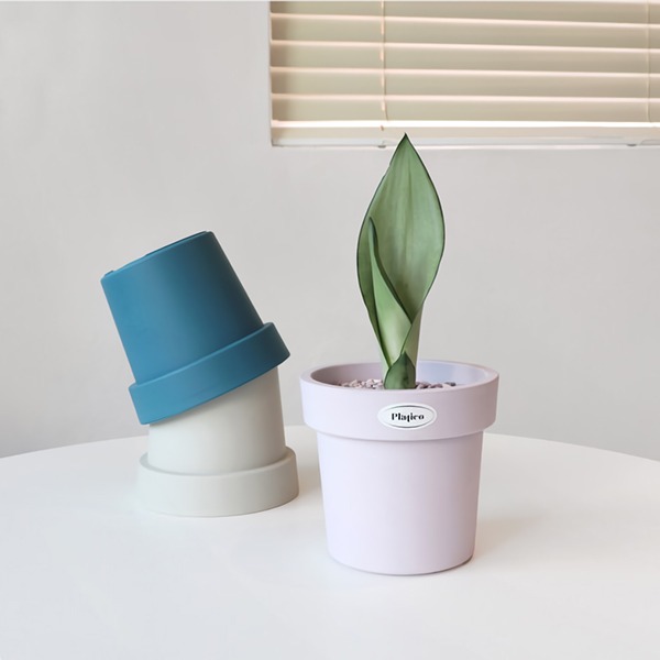 등록된 이미지가 없습니다.