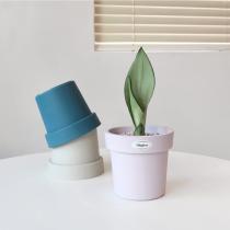 등록된 이미지가 없습니다.