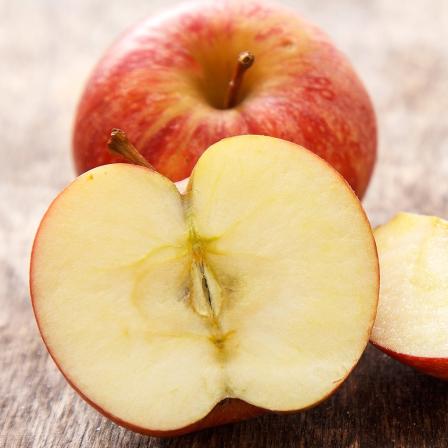 등록된 이미지가 없습니다.