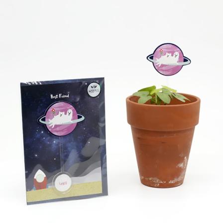 등록된 이미지가 없습니다.