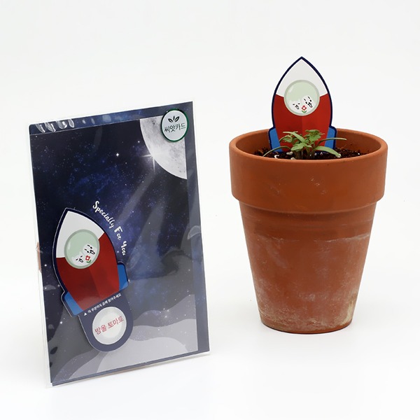 등록된 이미지가 없습니다.