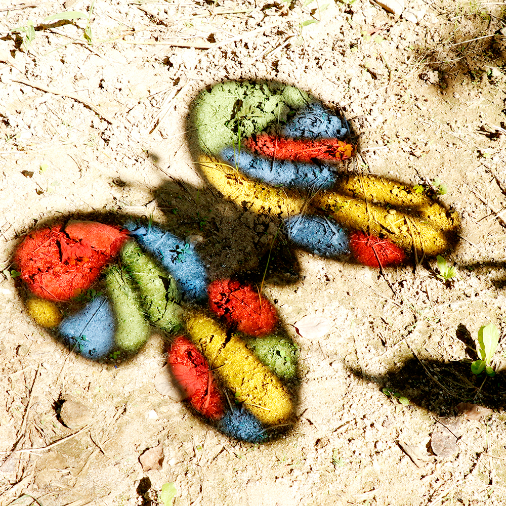 등록된 이미지가 없습니다.