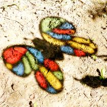 등록된 이미지가 없습니다.