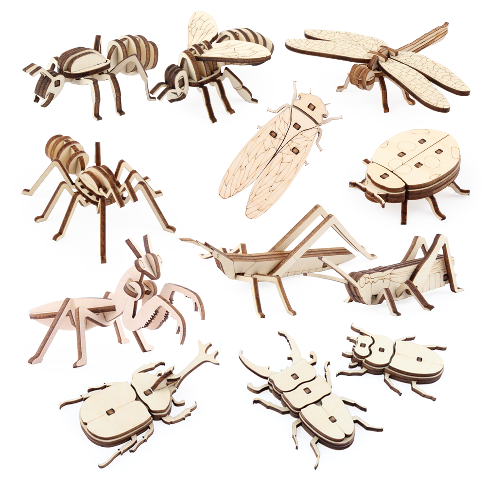 등록된 이미지가 없습니다.