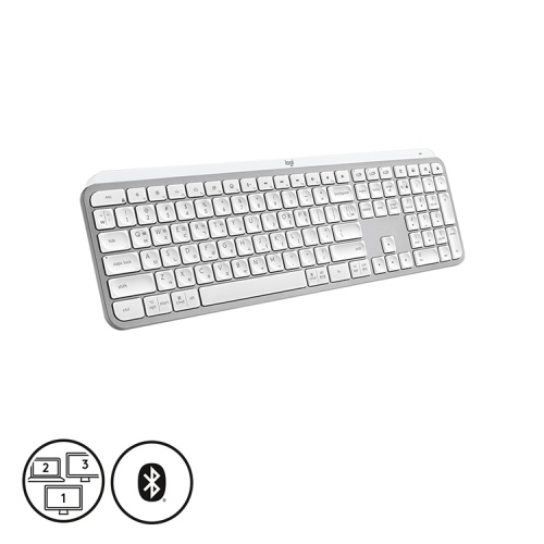 등록된 이미지가 없습니다.