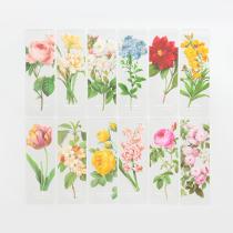 등록된 이미지가 없습니다.