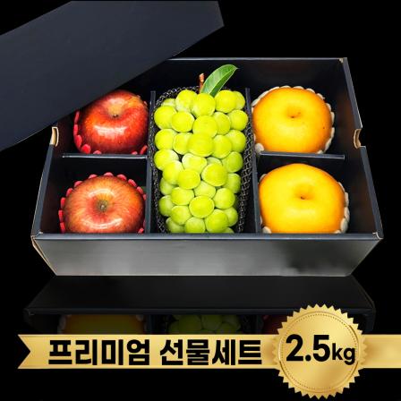 등록된 이미지가 없습니다.