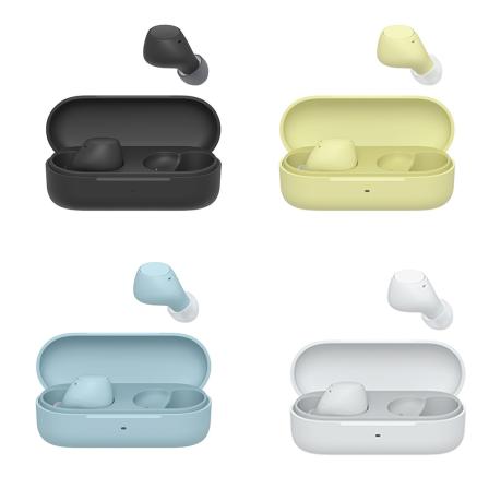 등록된 이미지가 없습니다.