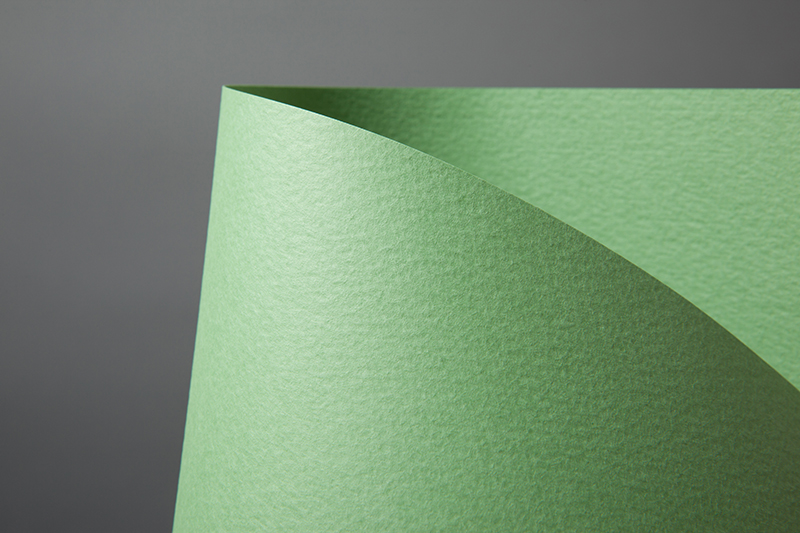 등록된 이미지가 없습니다.