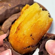 등록된 이미지가 없습니다.