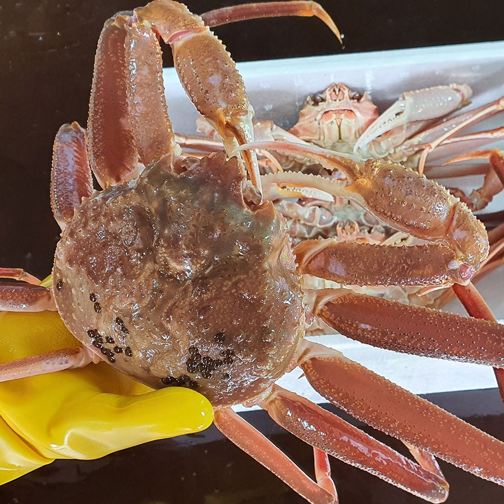 등록된 이미지가 없습니다.