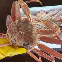 등록된 이미지가 없습니다.