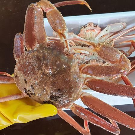 등록된 이미지가 없습니다.