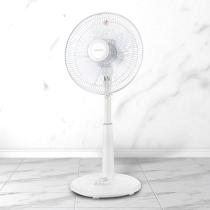 등록된 이미지가 없습니다.